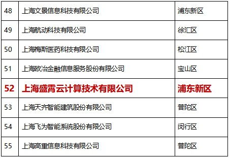 巔峰引領，再獲殊榮 比格云榮登2020上海軟件和信息技術服務業高成長百家榜單