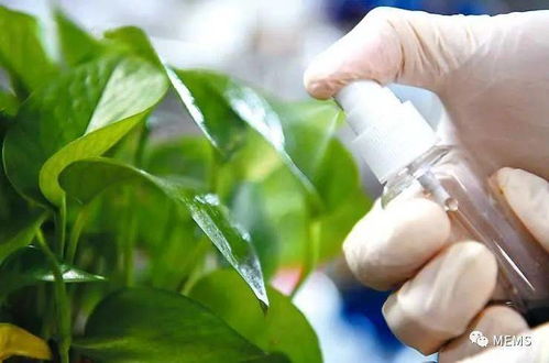 紅外光控釋農(nóng)藥研發(fā)取得重要進(jìn)展，生物農(nóng)藥技術(shù)迎來(lái)新突破