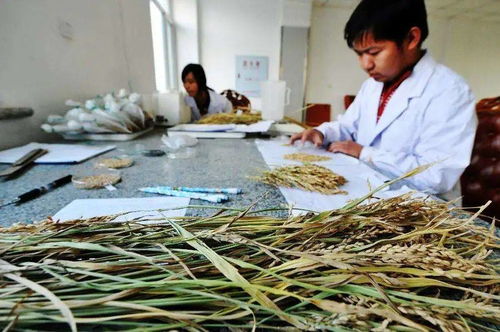 人人可參與，最高獎(jiǎng)金12萬(wàn)元 生物農(nóng)藥技術(shù)研發(fā)新機(jī)遇