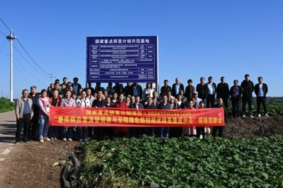 綠色防控，“薯”來運轉(zhuǎn)——河南省農(nóng)科院植保所召開甘薯病蟲害綠色防控培訓(xùn)觀摩會