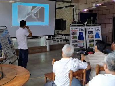 先正達大偉哥產品技術交流探討